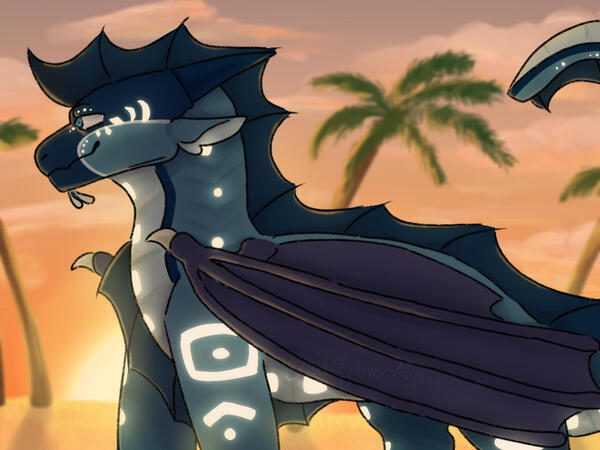 Manatee at the beach