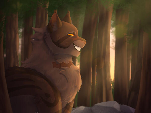 Tigerstar Redraw Tigerstar Redraw